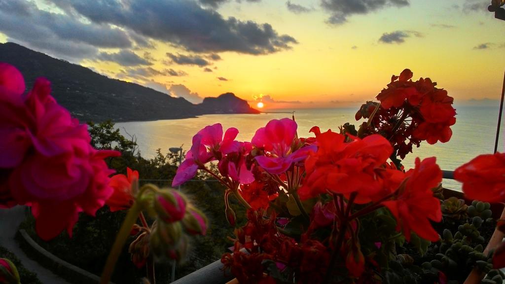 Holiday home Framavi Cefalu